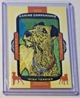 2018 Goodwin Champions Canine Companions Manufactured Patch Irish Terrier
