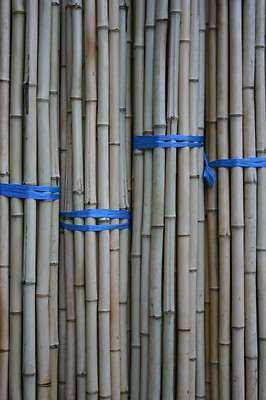 Bambusstangen kaufen 3m