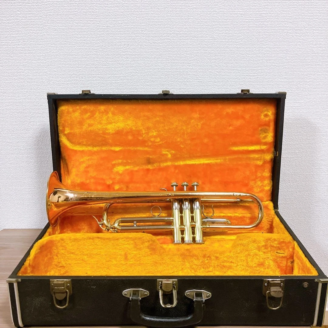 Expert Bronze Leadpipe Trumpets for sale | eBay