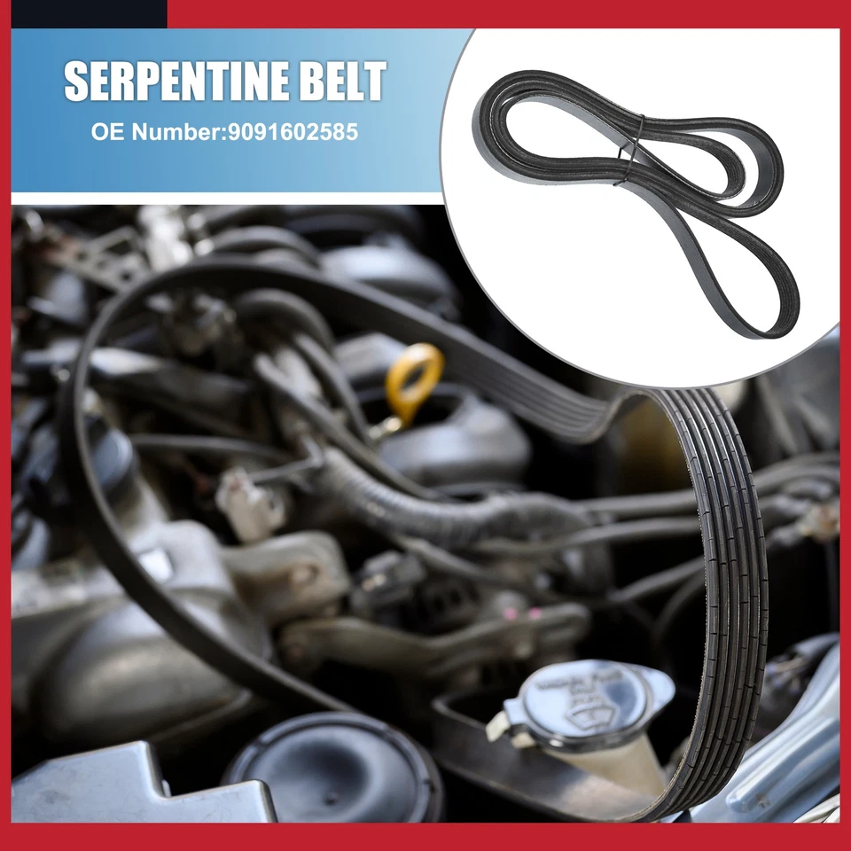 Pack of 1 For Chevrolet Corvette 1984 Serpentine Belt V-Ribbed Belt 9091602585 - Image 2 of 4
