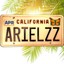 arielzz_attic_california