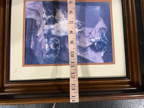 Stampa gatto incorniciata vintage cornice profonda in legno 16x14 adorabili gattini arte originale - Foto 13 di 17