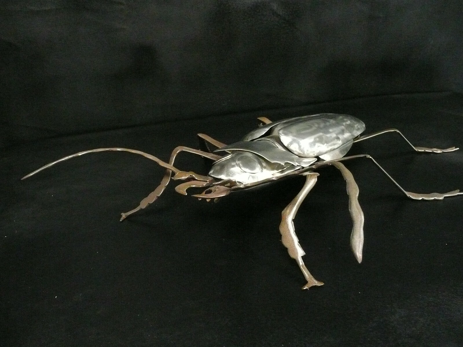 Picture 3 of 12