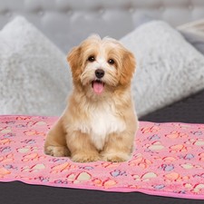 Pet Blanket, Flannel Paw Printed Throw Blanket,30x42 Inches, Pink, 1 Pack 3 