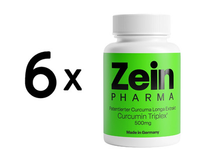 6 x Zein Pharma Curcumin Triplex, 500mg - 90 caps (444,43 EUR/kg)