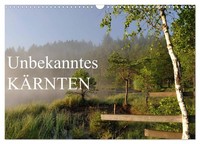 "Calendar 2027 · US Version · Unknown Carinthia (Wall Calendar 2027 17\" × 12\" Lan"