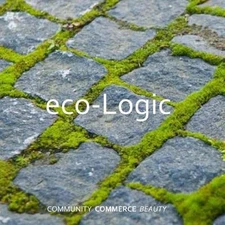 eco-Logic: A Pictograph by Jude Michael (English) Paperback Book