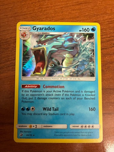 Gyarados 20/70 Holo Rare Dragon Majesty Pokemon Near Mint
