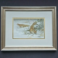 Antique Wilhelm Kuhnert Chromolithograph Litho Common Fox Matted Framed Foxes