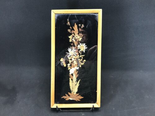 Ancien tableau composé de fleurs séchées Mises sous verre  Cadre en bois - Afbeelding 1 van 8