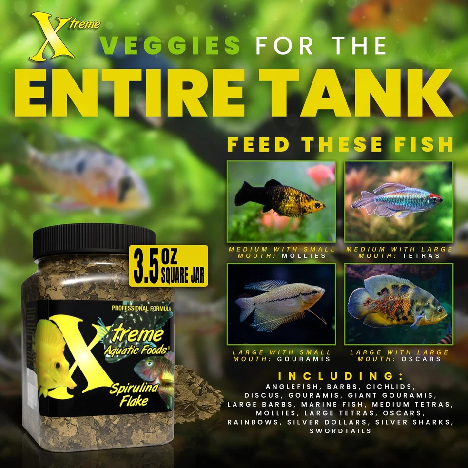 Escamas de espirulina Xtreme - Dieta herbívora equilibrada para f... Foto 3 de 4