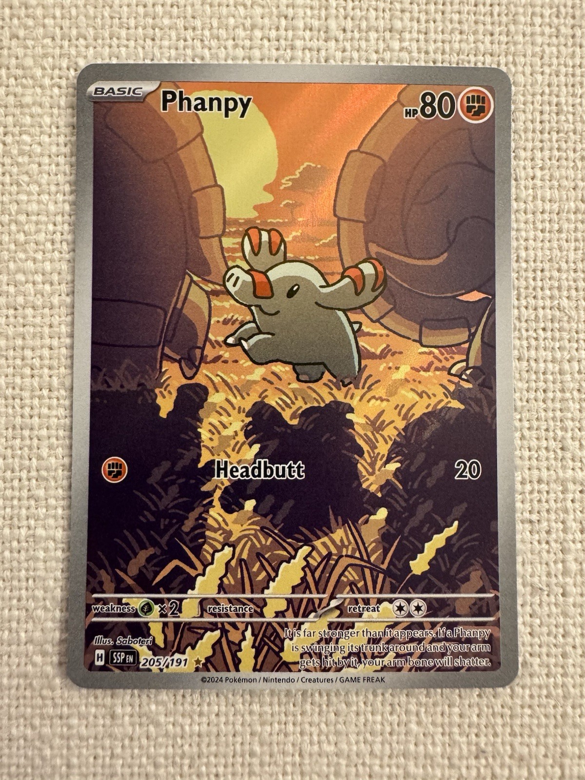 Phanpy 205/191 Sv08: Surging Sparks Illustration Rare Pokemon TCG NM