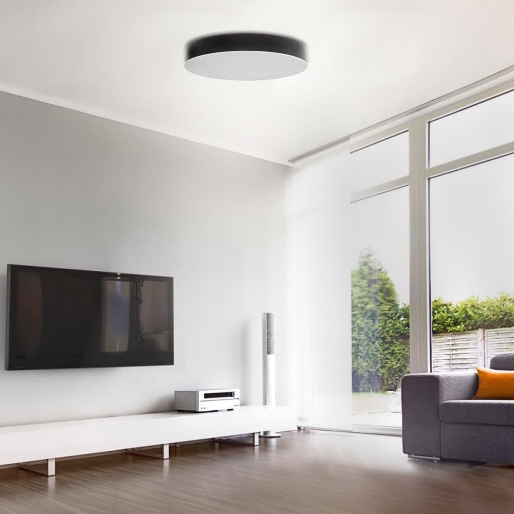 Plafonnier LED noir Neox 24W de 30cm avec lumière variable réglable - 2