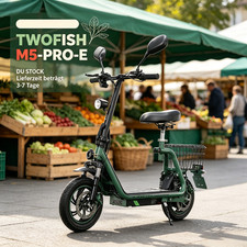 48V 13AH Mit Straßenzulassung 12" Elektroroller mit Sitz E-Scooter TWOFISH …