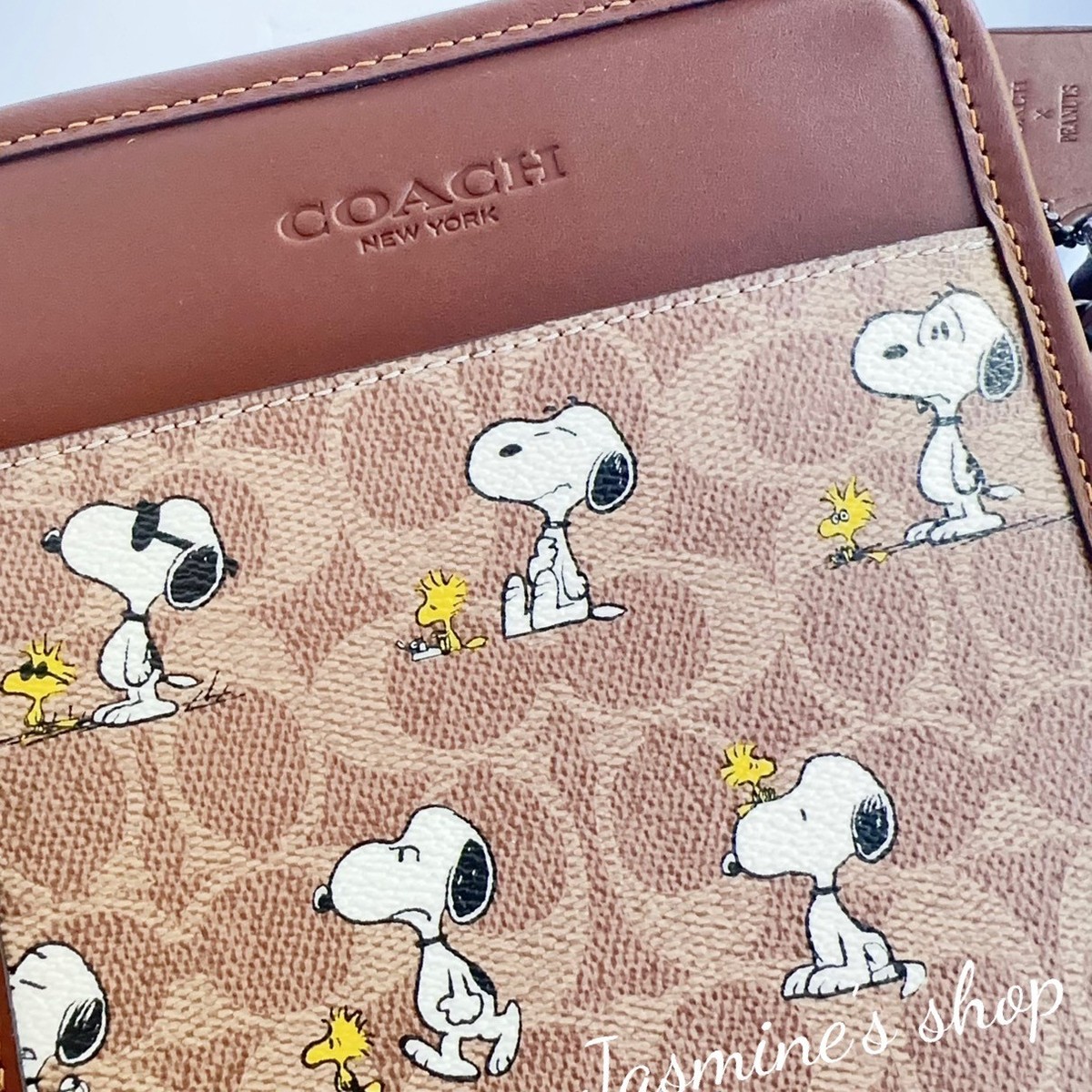 Coach X Peanuts Sullivan Crossbody Bag In Signature Canvas With 