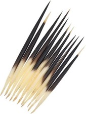 10Pcs Black Porcupine Quills Hair Stick Indian Crafts Accessories Fishing Buo...