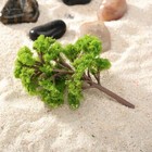 Bild 9 von 11