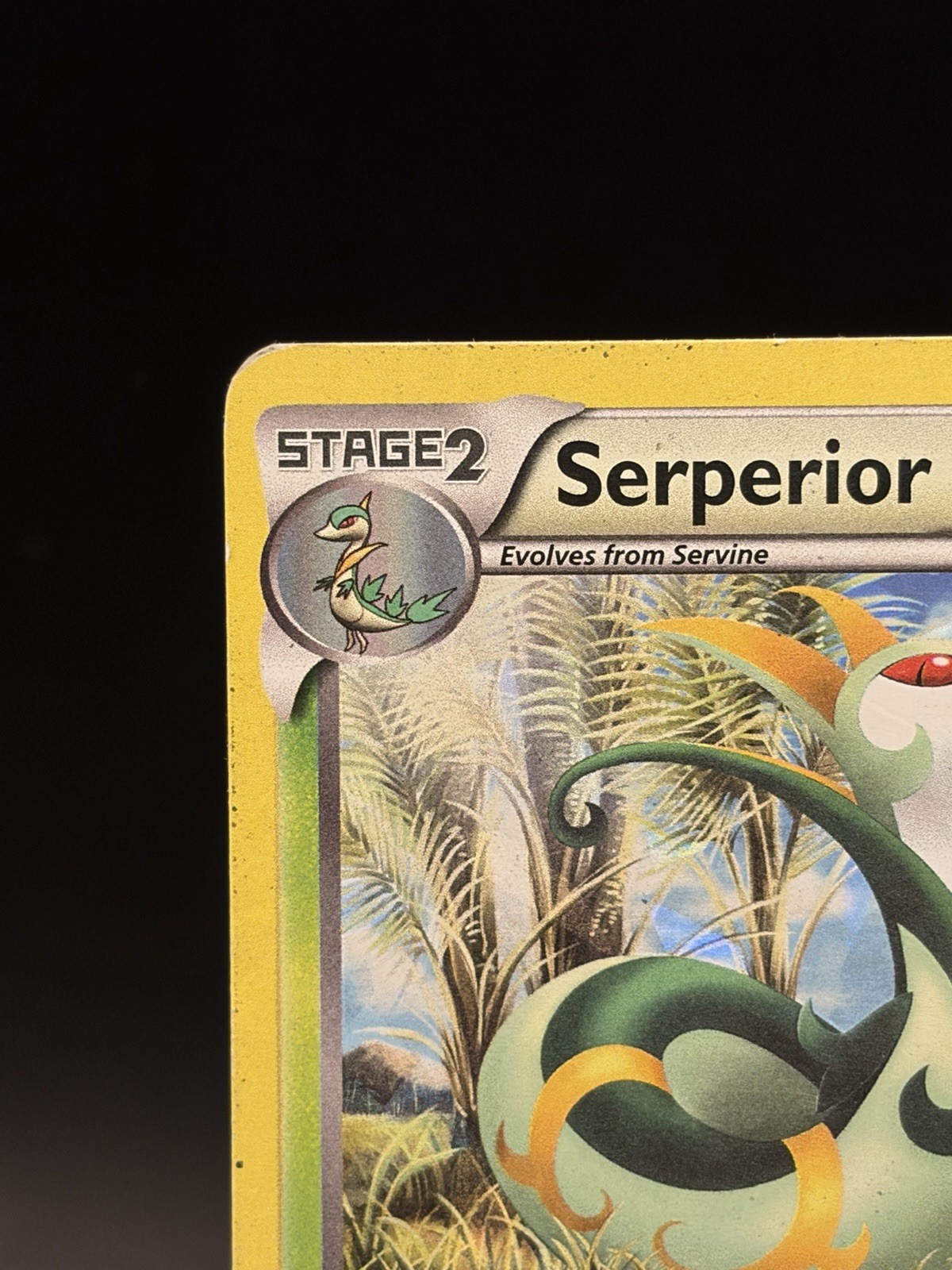 Mpon Check Serperior 5/114 BW Base Set Cracked Ice Holo Deck Exclusive MP | eBay
