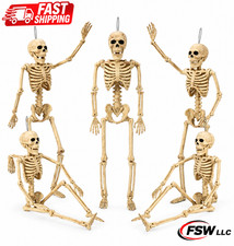 5 Pack 16" Posable Halloween Skeleton Decorations,Human Bones 16inch, White