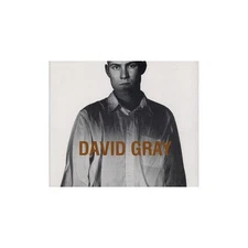 David Gray - Birds Without Wings (VINYL)