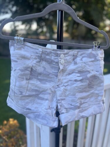 Sanctuary Standard Surplus Large Shorts Multicolor