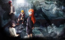 Anime bleach kurosaki ichigo kuchiki rukia shadow girls Custom Gaming Mat Desk