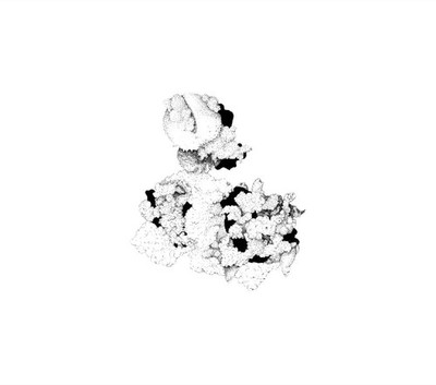 Anna Webber and Matt Mitchell Capacious Aeration (CD) Album