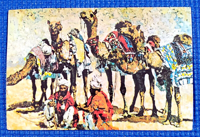 Vtg c1980s Portrait of Camel Men in the Desert Dammam Saudi Arabia Postcard
