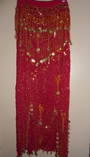 Belly Dancing Skirt and Top Costume