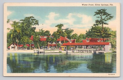 #ad Water Front Silver Springs Florida c1939 Postcard $5.00