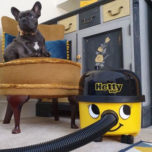 Hetty Yellow Vacuum Cleaner HET160 - Direct From UK Manufacturer - Picture 6 of 8