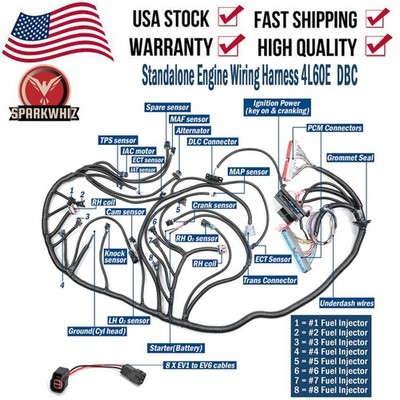 NEW LS1-4L60E Wiring Harness Stand Alone For LS SWAPS DBC 4.8 5.3 6.0 1997-2006