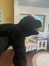 20" Folkmanis Black Labrador Lab Puppy Dog Full Body Hand Puppet Plush Folktails