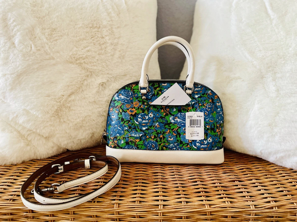 Coach mini dome clearance satchel