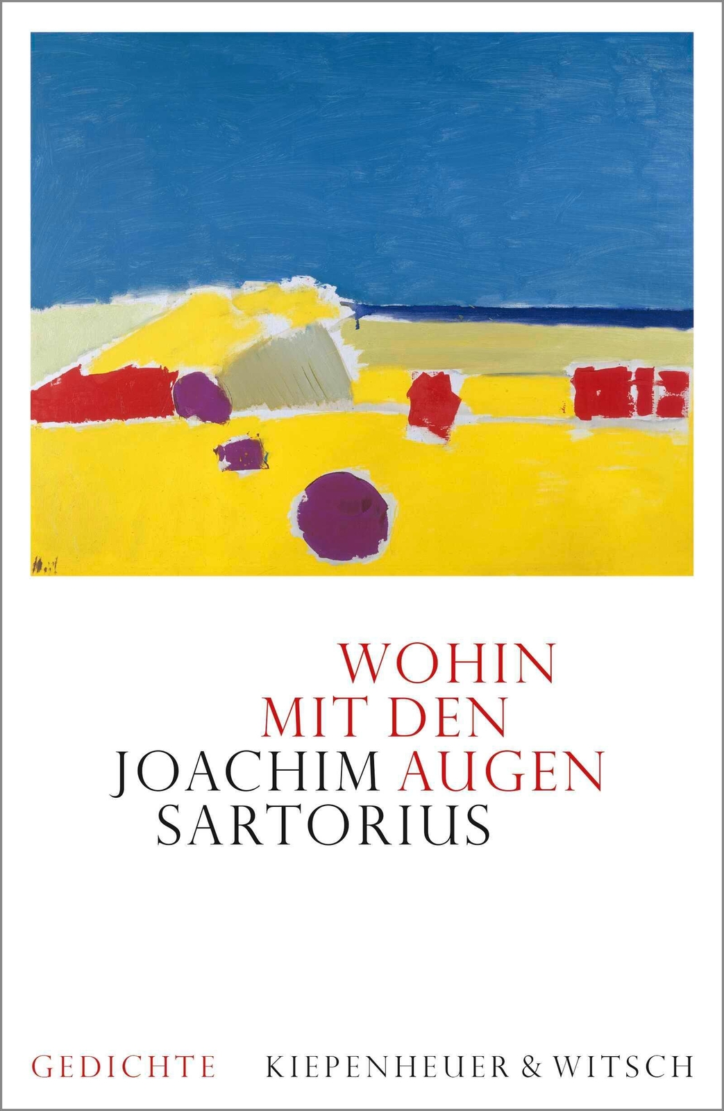 Thumbnail - Wohin Mit Den Augen | Gedichte | Joachim Sartorius | Deutsch | Buch |