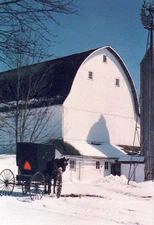 Winter in Amish Country Horse and Buggy Barn Snow Heartland Postcard