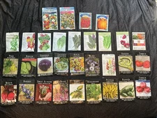 32 Packs of Fruit Vegetable and Flower Seeds Rare Seeds Botanical Interest