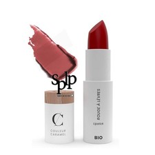 Couleur Caramel Rouge à lèvres BIO N°507 brun satiné