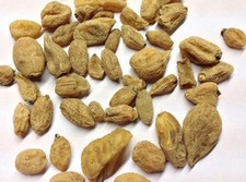 100% Pure IRANI SALAB MISHRI SALEP ORCHID SALAM MISRI ORCHIS MASCUL Whole Herb