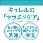 Foto 4 di 6