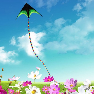 Queue De Cerf-volant Stunt En Nylon Super Résistant - Accessoire Jeu Enfant Extérieur