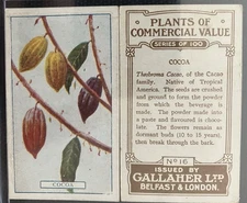 Antique Cocoa Ephemera Card PAIR Chocolate Theobroma Cacao Colorful