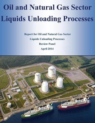 Oil and Natural Gas Sector Liquids Unloading Processes by U.S. Environmental Pro