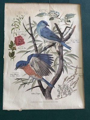 Arthus Singer: Blue Birds, #2 print of a series...