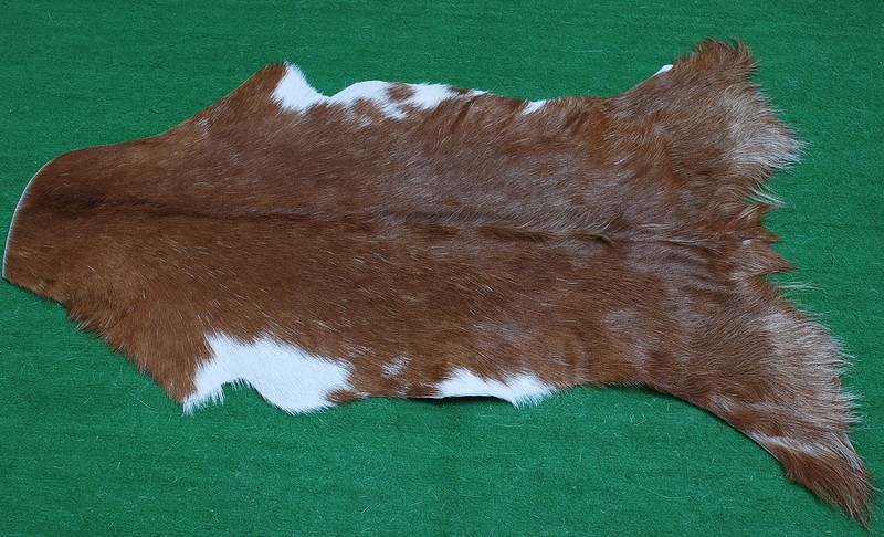 GOAT Western taxidermy Hide Rug Natural Pattern Fur Goat Hide Rode SA-967