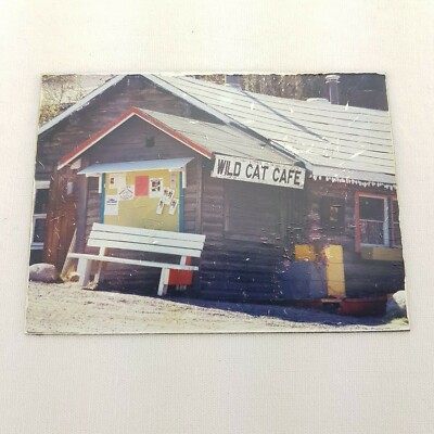 Wild Cat Cafe Refrigerator Magnet M18