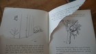 Foto 7 di 9