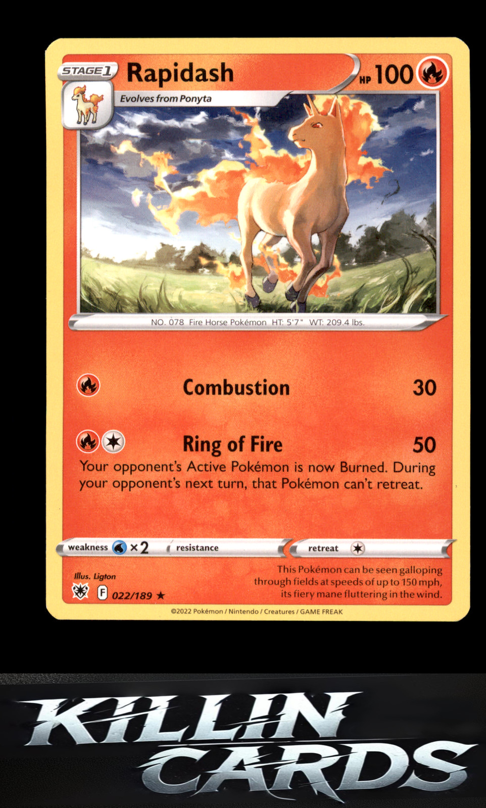 Rapidash