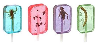Insect Sucker Lollipop Bundle - Pack of 4 - Scorpion, Ants, Cricket, And... 
