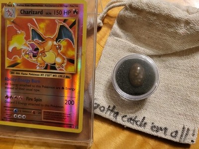 2016 Charizard 11/108 Rev Holo XY Evo UNGRADED NM + Charizard Skin DinoStone Gem
